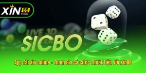 App Tài Xỉu Online - Tham Gia Cá Cược Thuận Tiện Với Xin88