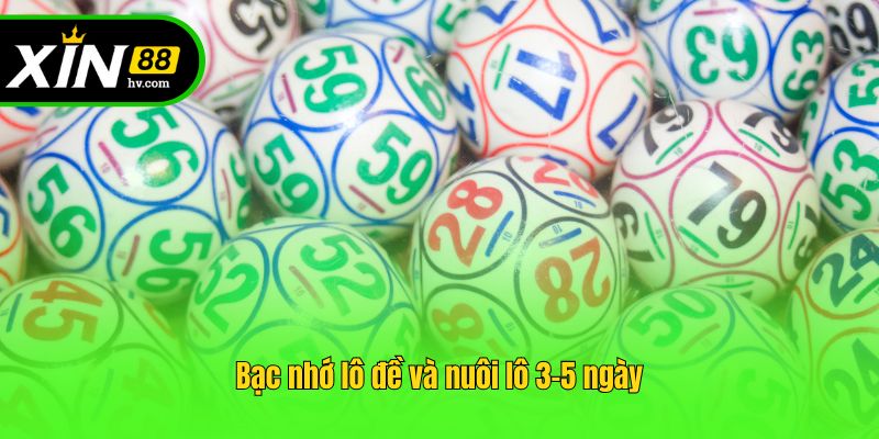 Bạc nhớ lô đề và nuôi lô 3-5 ngày