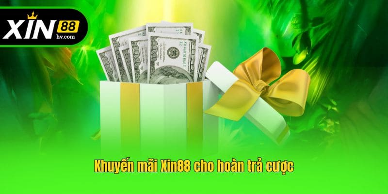 Khuyến mãi Xin88 cho hoàn trả cược